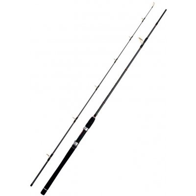 WFT Sea Sparrow Cod Jigger 2,20 m 40-160 g 2 dílný – Zbozi.Blesk.cz