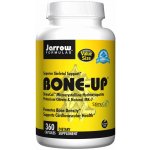 Jarrow Formulas BoneUp 360 kapslí – Hledejceny.cz