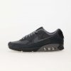 Skate boty Nike Air Max 90 anthracite / Lt Smoke Grey-black