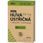 Vitar EKO Hlíva ústřičná 60 kapslí – Hledejceny.cz