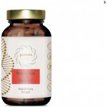 Puravia labs Přírodní železo a acerola 60 kapslí – Hledejceny.cz