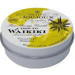 Petits Joujoux Waikiki 43 ml – Zbozi.Blesk.cz