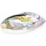 Milujeme Kameny vykuřovací mušle Abalone 2 – Zboží Dáma