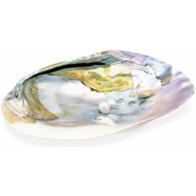 Milujeme Kameny vykuřovací mušle Abalone 2 – Zboží Mobilmania