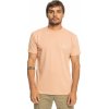 Pánské Tričko Quiksilver Essentials Ss cafe creme 23