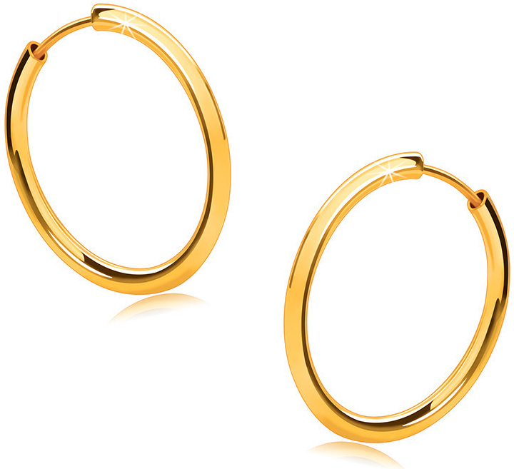 Šperky Eshop zlaté kruhové náušnice ve zlatě tenká zaoblená ramena lesklý povrch S2GG48.34