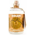 Golem Hruškovice 40% 1 l (holá láhev) – Zboží Dáma