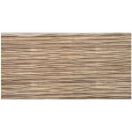 Impol Trade 3D TP10034026 500 x 970 mm jasan broušený 1ks – Zboží Mobilmania