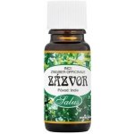Saloos esenciální olej Zázvor 10 ml – Hledejceny.cz