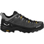 Salewa Alp Trainer 2 Gtx Shoe M onyx black šedá – Hledejceny.cz