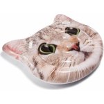 Intex 58784 Kočka – Zboží Dáma