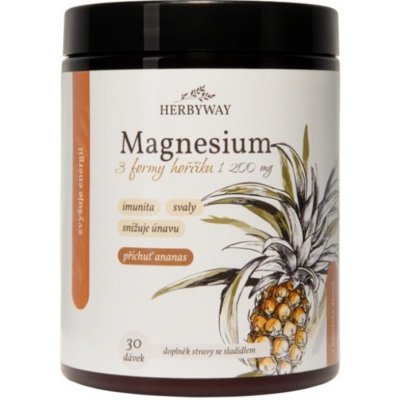 Herbs Energy Magnesium Drink Ananas 30 dávek – Hledejceny.cz