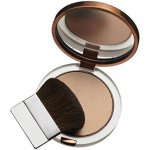 Clinique True Bronze Pressed Powder Bronzer Bronzující pudr 3 9,6 g – Hledejceny.cz