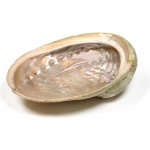 Mani Bhadra vykuřovací mušle Abalone - velká – Zboží Dáma