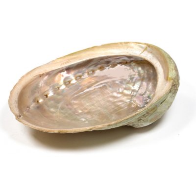 Mani Bhadra vykuřovací mušle Abalone - velká – Zboží Dáma