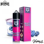 Infamous NOID mixtures Blueberry Pudding 10 ml – Zbozi.Blesk.cz