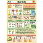 Kupka Petr: Zlomky Kniha – Sleviste.cz