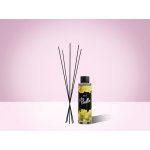 Puella Náplň do aroma difuzéru s tyčinkami JaLu 100 ml – Hledejceny.cz