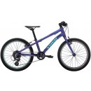 Trek Wahoo 2021