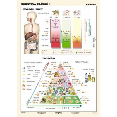 Soustava trávicí II.- tabulka A4 – Zbozi.Blesk.cz