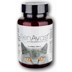 AminAvast Kočka 60 cps – Zboží Dáma