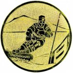 Emblém snowboard zlato 25 mm – Zboží Mobilmania
