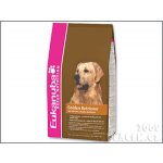 Eukanuba Golden Retriever 2 x 12 kg – Hledejceny.cz