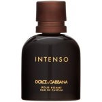 Dolce & Gabbana Intenso parfémovaná voda pánská 40 ml – Hledejceny.cz