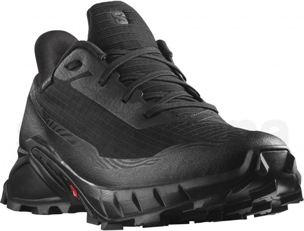 Salomon Alphacross 5 GTX W L47310900 black/black ebony