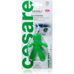 Mr&Mrs Fragrance Cesare Warm Spicy – Hledejceny.cz