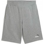 Puma ESSENTIALS NO. 1 shorts 10 šedá – Sleviste.cz