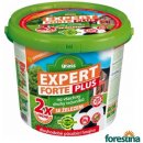 Forestina Trávníkové hnojivo Expert Forte Plus 10kg