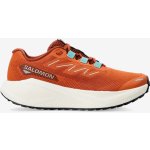 Salomon Aero Blaze 3 GRVL Burnt Ochre/Vanilla Ice/Vanilla Ice – Zboží Dáma
