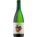 Van Nahmen Cidre 4% 0,75 l (holá lahev) – Zboží Dáma