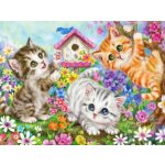 Norimpex Diamantové malování Kočičí parta 30 x 40 cm – Sleviste.cz