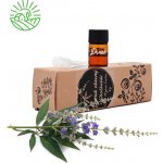 SoZoLe Rose Vzácný éterický olej Drmek obecný z Chalkidiki 1 ml – Hledejceny.cz