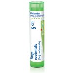THUYA OCCIDENTALIS POR 5CH GRA 4G – Hledejceny.cz