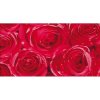 GEKKOFIX 12679 Samolepící tapety růže červená rozměr 45 cm x 15 m