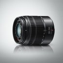 Panasonic Lumix G Vario 45-150mm f/4-5.6 Aspherical Mega O.I.S.