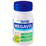 Volchem Megavis 60 tablet – Zbozi.Blesk.cz