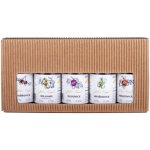 Anton Kaapl 47% 5 x 0,05 l (set) – Zboží Dáma