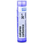 CALCAREA CARBONICA POR 30CH GRA 1X4G – Hledejceny.cz