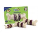 Premier Busy Buddy Bristle Bone S