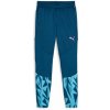 Dětské sportovní kalhoty Puma individualFINAL Training Pants Jr 659024 56