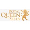 Semena konopí Royal Queen Seeds Royal Jack semena neobsahují THC 1 ks