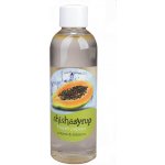 ShishaSyrup Melasa Ledová papaya 100 ml – Zboží Mobilmania