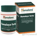 Himalaya Rumalaya Forte 60 tablet – Hledejceny.cz
