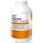 Equazen Omega 3 + Omega 6 360 kapslí – Hledejceny.cz