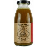 Warmińska Manufaktura Oxymel kurkuma 250 ml – Zboží Dáma