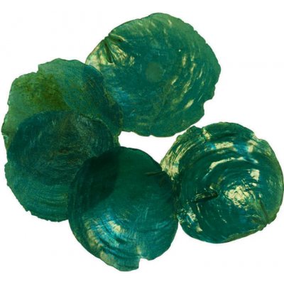 Mušle capiz perleť zeleno-modré - 45 g – Zboží Dáma